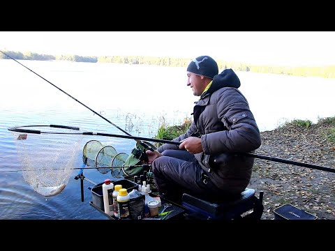 Видео: ЛОВЛЯ НА ФИДЕР ОСЕНЬЮ! Фидерная ловля 2021! ФИДЕР В ОКТЯБРЕ!