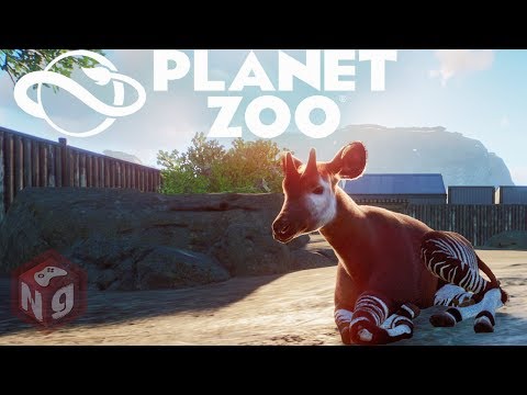 Видео: Planet Zoo - Рассвет крутого зоопарка! #1