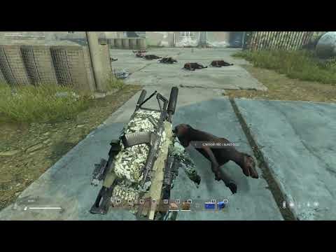 Видео: Уютный DayZ Cherno