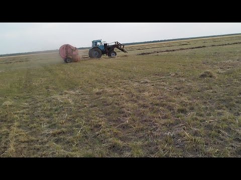 Видео: Рулондар саны