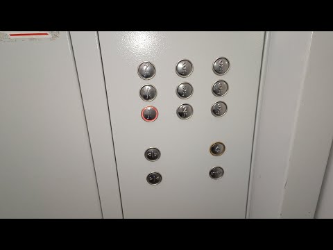 Видео: Лифт (МЛМ-2018 г.в.); по адресу: ул. Черникова 24, подъезд 1.