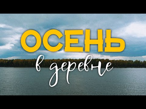 Видео: 🏡 Жизнь в деревне: грибы, коровы и горячая вода // Новости из деревенского дома