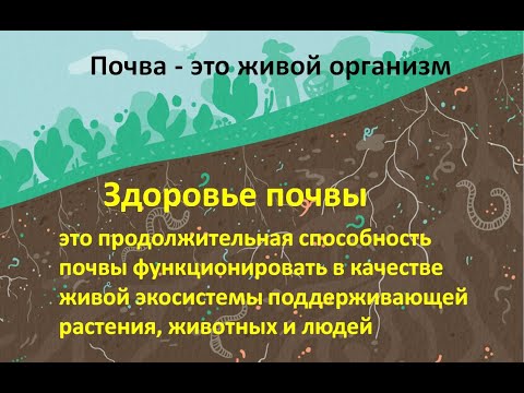 Видео: Что такое Здоровье Почвы. Старая, но хорошая лекция в университете 2019г.