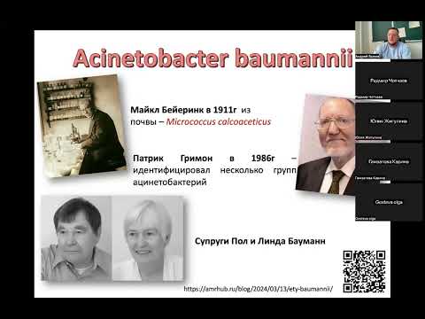 Видео: A baumannii и сульбактам