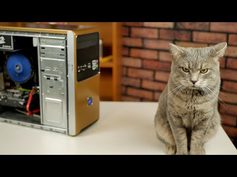 Видео: Золотая КИТАЙСКАЯ сборка БомжПК / Зарабатываем на хламе / Xeon W3550 (не) тащит