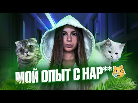 Видео: МОЙ ОПЫТ С НАР🐈🐈🐈
