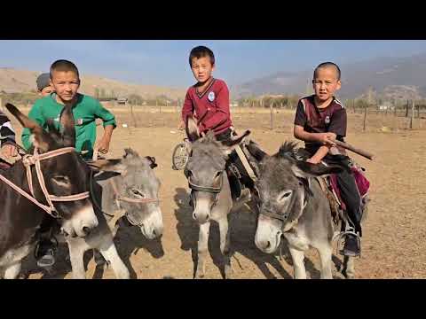 Видео: 20 октября 2025 г.