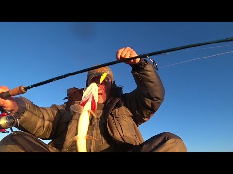 Видео: Рыбалка в Рощино 18.10.25.