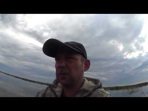 Видео: оз. Чаны! Сазан начал шевелится! Разведка!