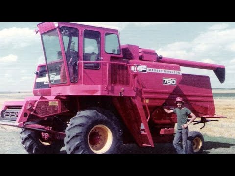 Видео: Z Crew — Ранний сбор пшеницы 1988 года — комбайны Massey Ferguson
