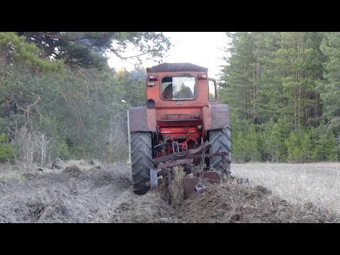 Видео: Пробуем пахать на Т-40 АМ.