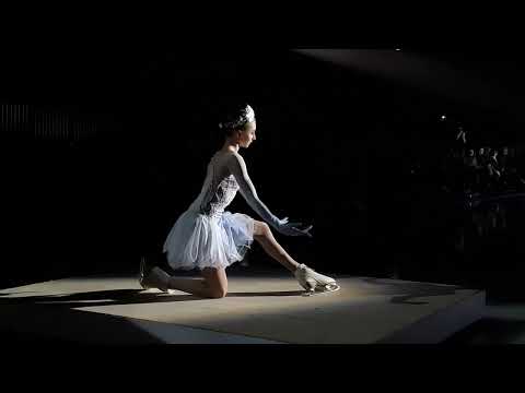 Видео: Ледовое шоу "Лебединое озеро" Плющенко - Ice Show "Swan Lake" Plushenko