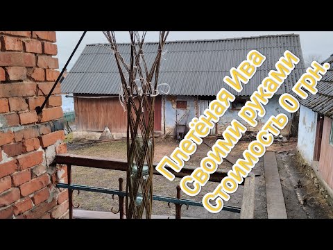 Видео: Плетём деревце из ивы.Дожливый день.