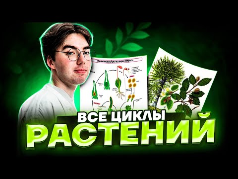 Видео: Жизненный цикл цветковых растений за 20 минут | Биология ОГЭ 2023 | Умскул
