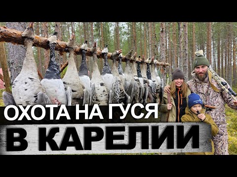 Видео: Охота на гуся закрытие сезона Карелия