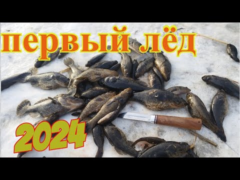Видео: Первый лёд 2024-2025. Ротан в Челябинской области.