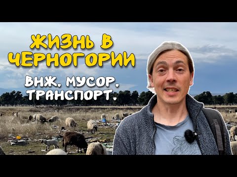 Видео: Реальная Жизнь в Черногории: Откровенно о Плюсах и Минусах (ч.3)
