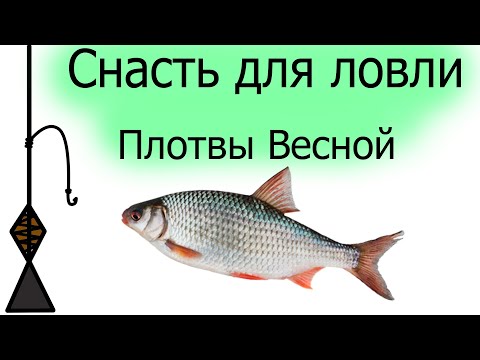 Видео: Уловистая снасть на плотву весной | как привязать узел чтоб не запутывался