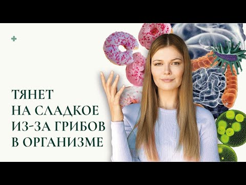 Видео: Влияние фруктов и сахара на организм