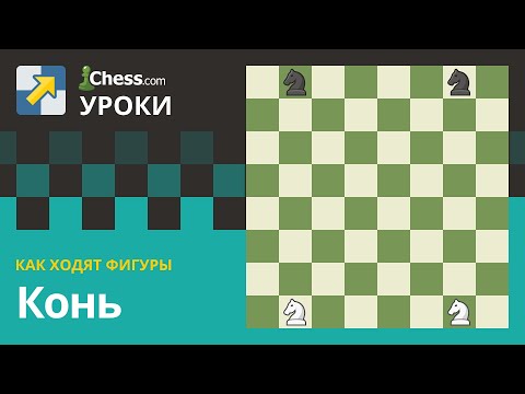 Видео: Как ходят фигуры: Конь