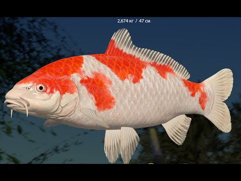 Видео: РР4 ! Медное проверяем фарм !!!