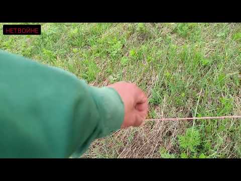 Видео: Шнур или провод - что лучше для электропастуха?