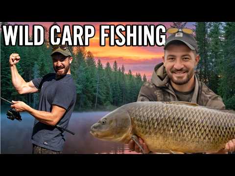 Видео: Ловля дикого карпа на огромном озере — Wild Frontiers: Canada
