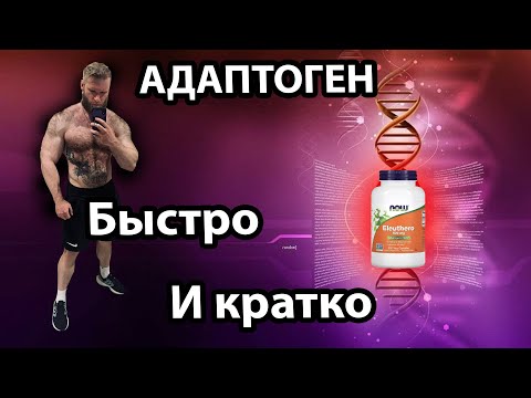 Видео: Eleuthero Быстрый и краткий обзор Элеутерококк