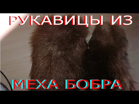 Видео: Рукавицы из меха.