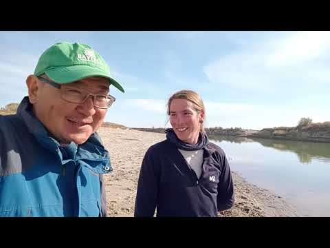 Видео: VELOTUR.KZ // Река Сырдарья: Падение уровня воды в основном русле
