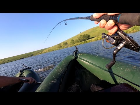 Видео: Мы что в Якутии? Трофейная рыбалка рядом с домом!