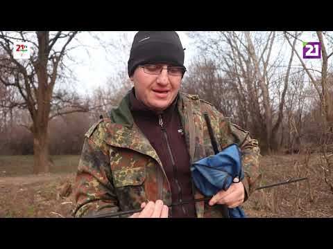 Видео: Карпатське рибалля / Ловля плітки на фідер поблизу села Червоне на річці Латориця