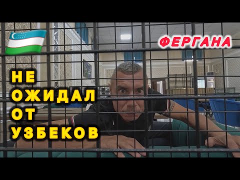 Видео: 🇺🇿 НЕ ОЖИДАЛ ТАКОГО ‼️ Фергана / Узбекистан / ШОК ЦЕНА НА АЙФОН / Рейкардс Фергана /