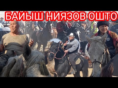 Видео: Ош Толойкон Аламан Улак Байыш Ниязов Тайга салды 20 февраля 2022 г.