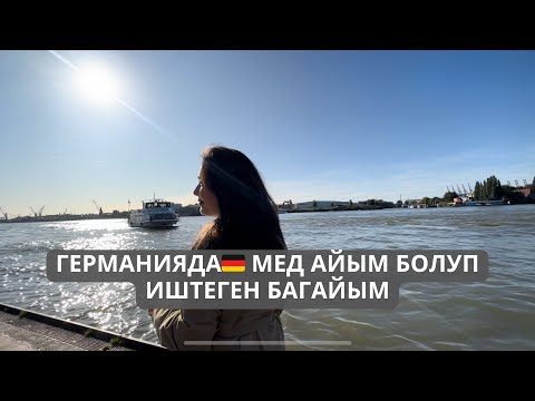 Видео: Германияда кантип дипломду таанытып, өз кесбиң боюнча иштесе болот?