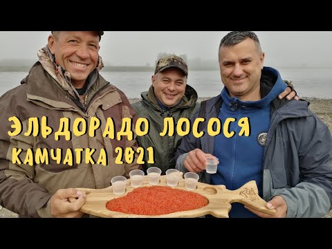 Видео: Рыбалка на Камчатке. Август 2021. Вот это клев! Рыбалка на Камчатке на реке Большая. Камчатка.