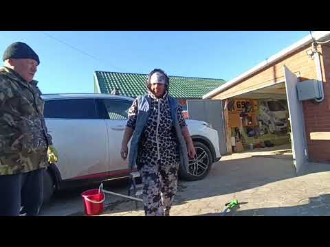 Видео: 2 января 2025г.  Работаем.  В Рубле - тишинаааа.