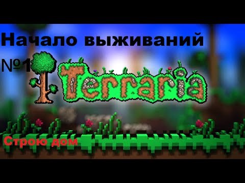 Видео: Начало игры в Terraria...