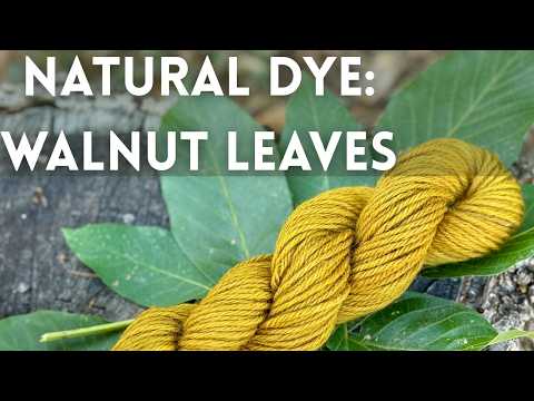 Видео: Натуральный краситель для дома из листьев черного ореха
