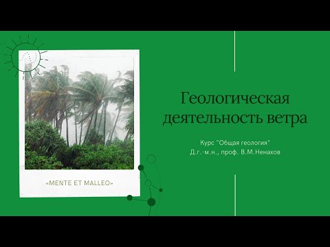 Видео: Тема "Геологическая деятельность ветра"