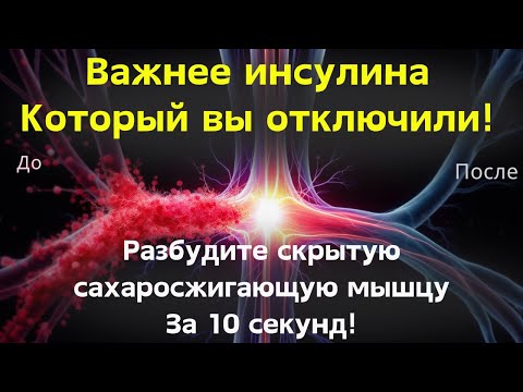 Видео: Хотите никогда не болеть диабетом Контролировать уровень сахара в крови Разбудите эту мышцу