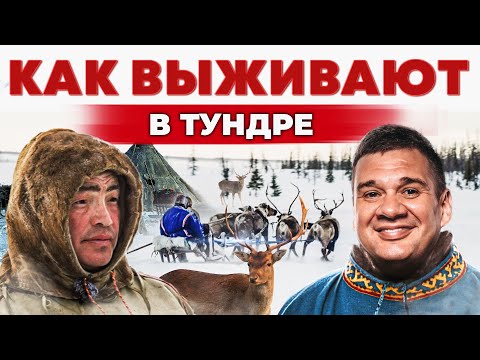 Видео: Жизнь на севере | Как заработать в Арктике? Суровая Тундра и оленеводство | Андрей Даниленко