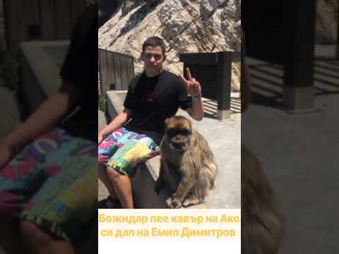 Видео: Боско Мюзик 🎼🎤