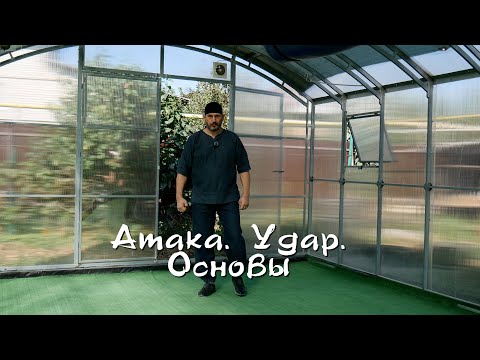 Видео: 013. Атака. Удар. Основы