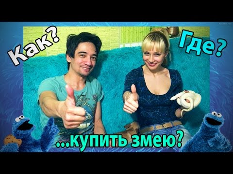 Видео: Как и где купить змею?