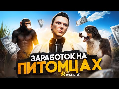 Видео: ЗАРАБОТОК на ПИТОМЦАХ в GTA 5 RP - лучший заработок в ГТА 5 РП