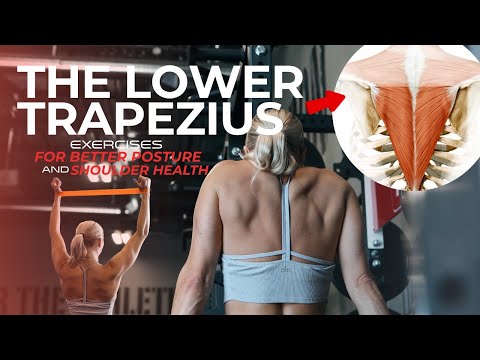 Видео: Упражнения на нижнюю часть трапеции, которые вы НЕ делаете — избавьтесь от боли в плечах и укрепи...