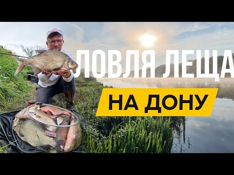 Видео: НАЛОВИТЬ ЛЕЩА на течении НЕСЛОЖНО! Вот мой РЕЦЕПТ