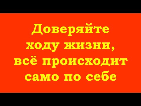 Видео: Доверяйте ходу жизни, всё происходит само по себе