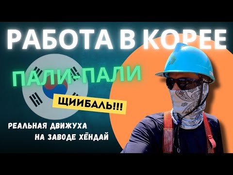 Видео: Моя жизнь и работа в Южной Корее удивят тебя!
